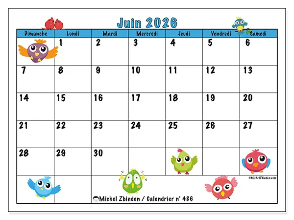 Calendrier juin 2026 à imprimer - Oiseaux amusants - Semaine du dimanche au samedi