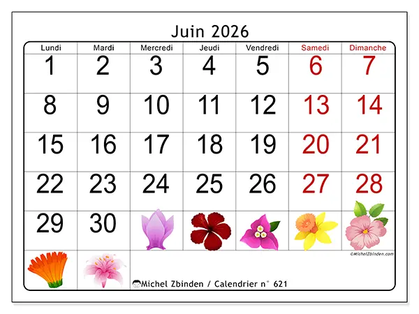 Calendrier juin 2026 à imprimer - Grandes fleurs