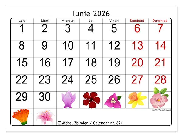 Calendar iunie 2026 de tipărit - Flori mari
